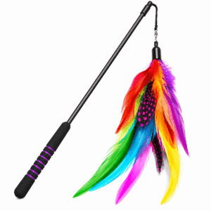 Rainbow Feather Cat Toy